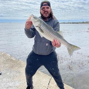 Meet your Posher, Malcolm